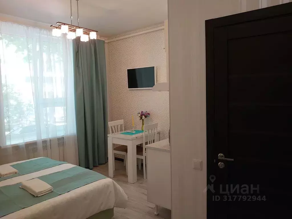 Студия Санкт-Петербург ул. Маринеско, 7А (17.0 м) - Фото 0