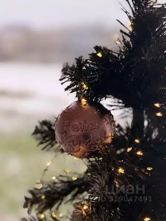 Дом в Московская область, Домодедово городской округ, д. Минаево, ... - Фото 2