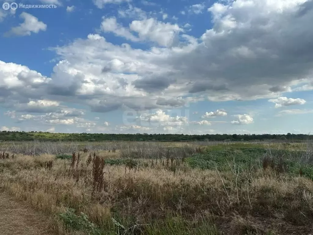 Участок в слобода Красюковская, Кленовая улица (165000 м) - Фото 0