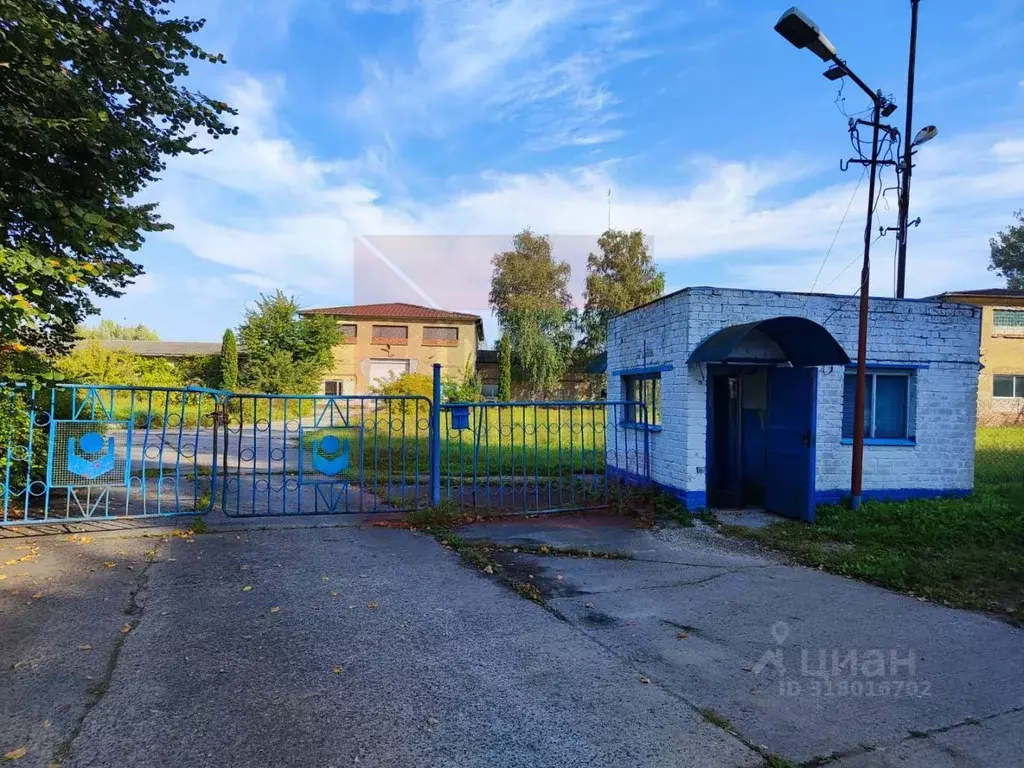 Производственное помещение в Калининградская область, Мамоново ... - Фото 0