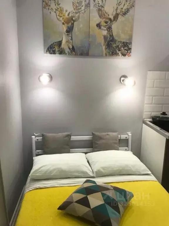 1-к кв. Московская область, Одинцово ул. Сколковская, 5А (20.0 м) - Фото 2