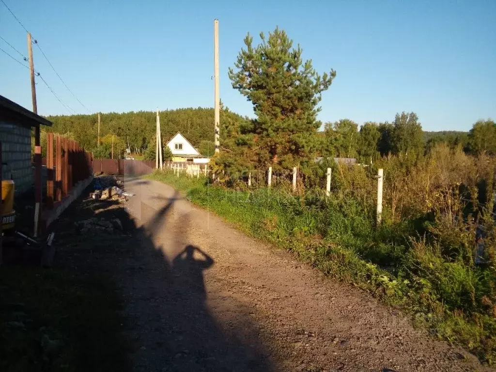 Участок в Тюменская область, Исетский район, с. Минино Береговая ул. ... - Фото 0