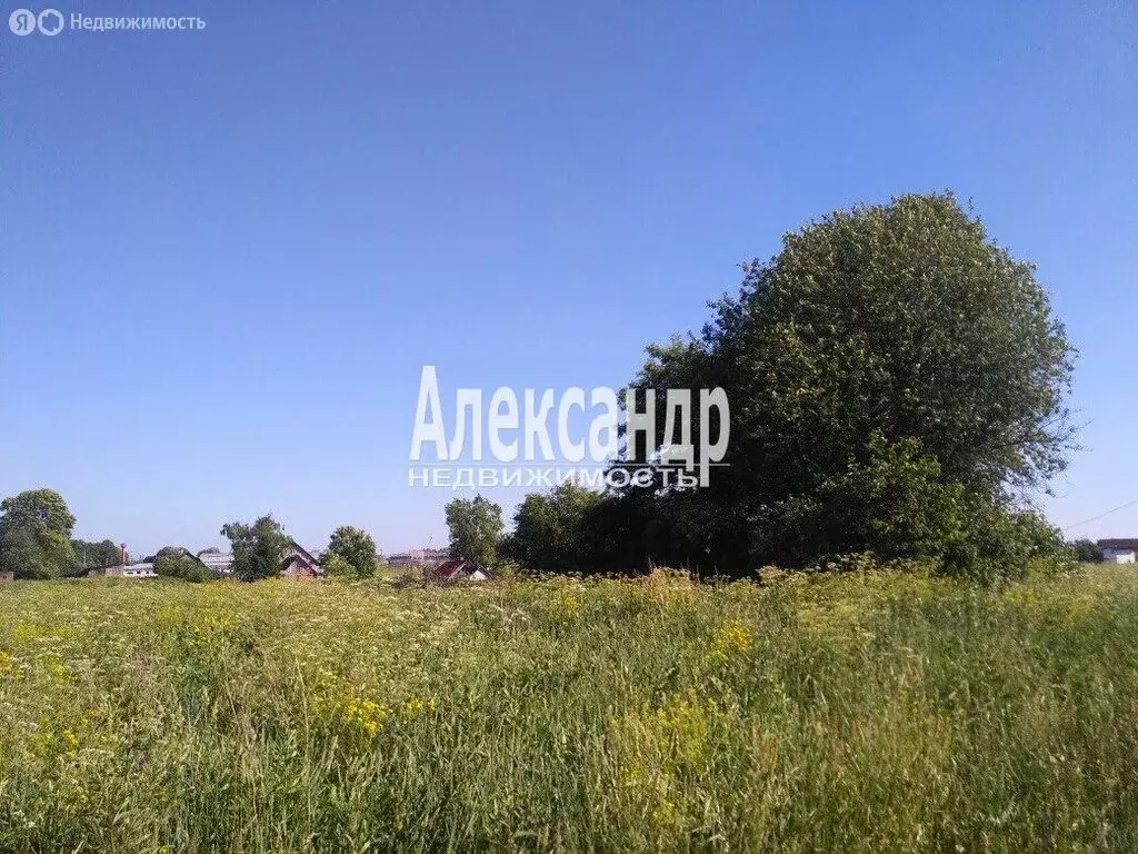 Участок в Клопицкое сельское поселение, деревня Каськово (24.5 м) - Фото 1