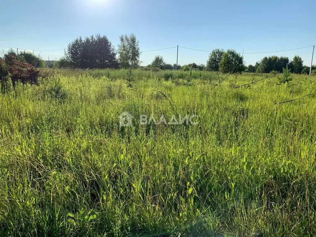 Участок в Владимирская область, Ковров Линейная ул. (10.0 сот.) - Фото 1