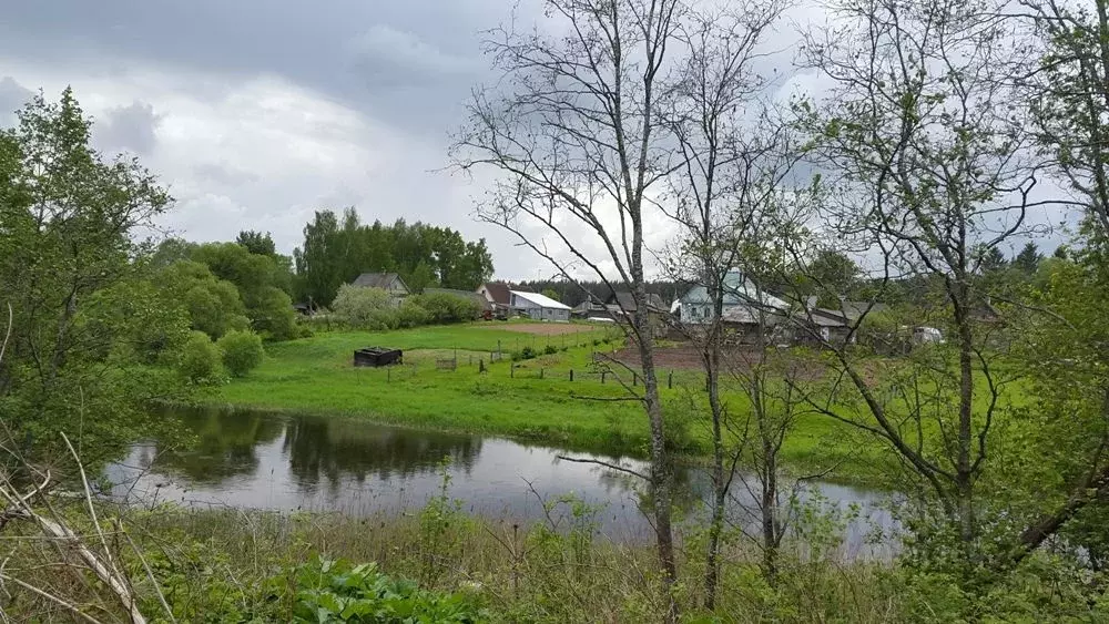 Участок в Тверская область, Торопецкий район, д. Речане  (25.0 сот.) - Фото 0