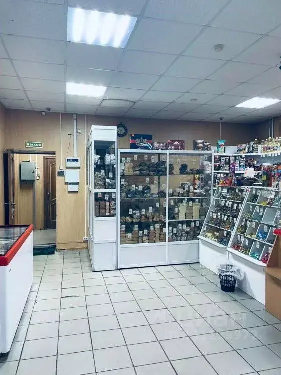 Помещение свободного назначения в Иркутская область, Саянск ... - Фото 1
