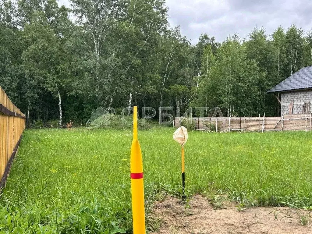 Участок в Тюменская область, Тюменский муниципальный округ Салаирский ... - Фото 1
