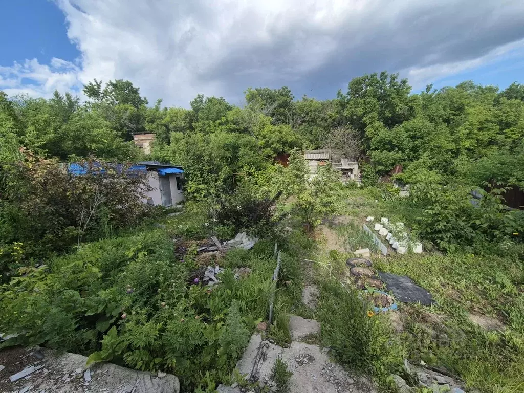 Дом в Саратовская область, Вольск ул. Льва Толстого, 43 (65 м) - Фото 1