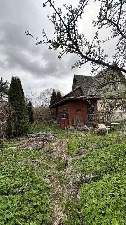 Участок в Санкт-Петербург пос. Стрельна, ул. Дружбы, 29 (12.0 сот.) - Фото 1
