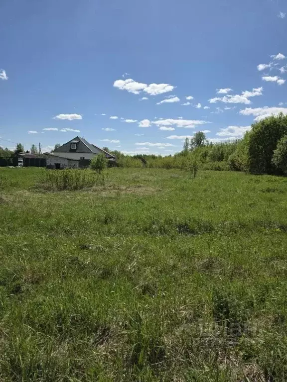 Участок в Тверская область, Калининский муниципальный округ, д. Кадино ... - Фото 2
