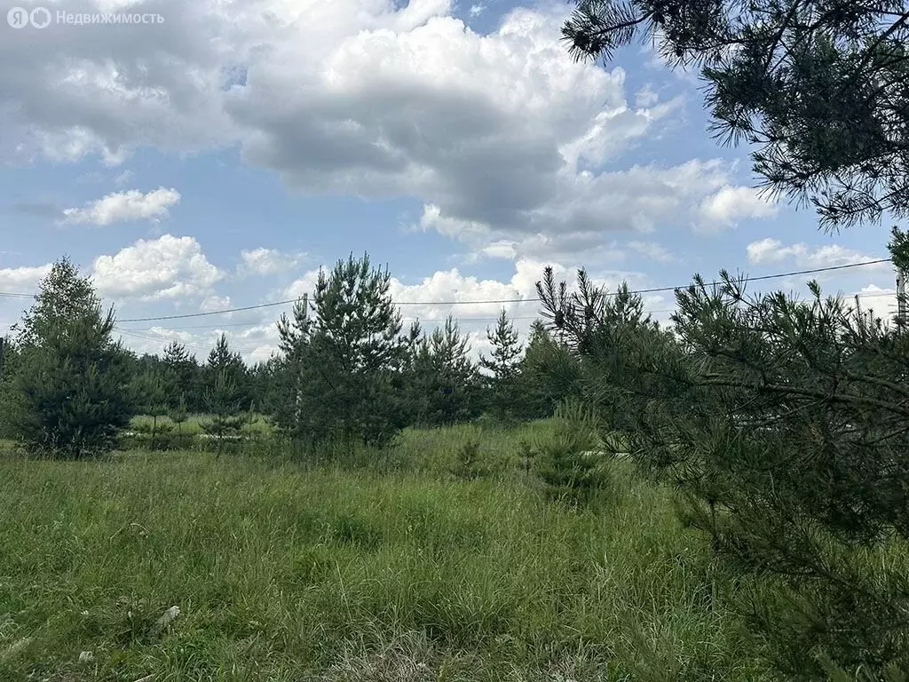 Дом в Московская область, Раменский муниципальный округ, деревня ... - Фото 1