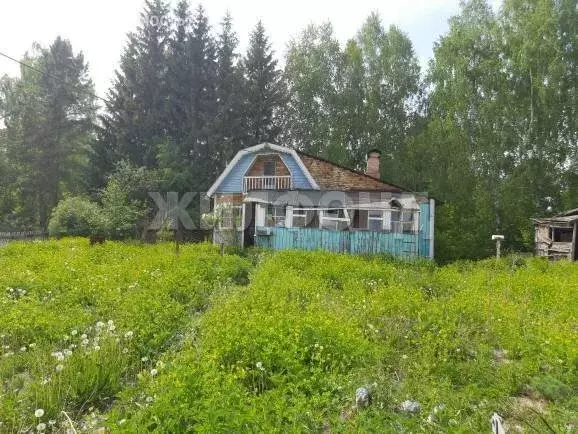 Дом в Колыванский район, СНТ Электрон, улица Охотный Ряд (80 м) - Фото 1
