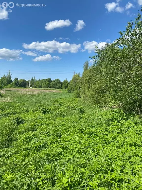 Участок в Колчановское сельское поселение (200 м) - Фото 2