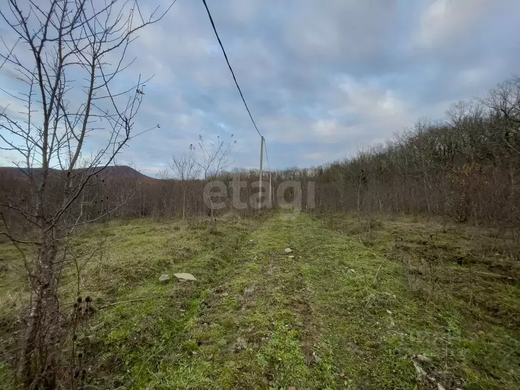 Участок в Краснодарский край, Геленджик городской округ, с. Тешебс  ... - Фото 1