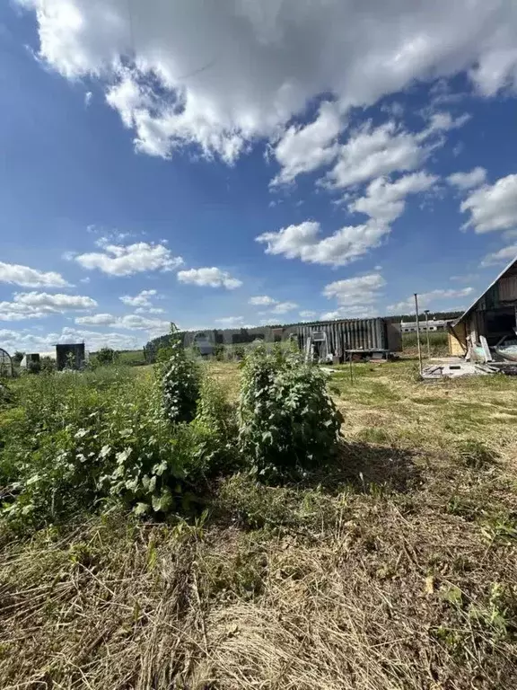Участок в Свердловская область, Заречный муниципальный округ, с. ... - Фото 1