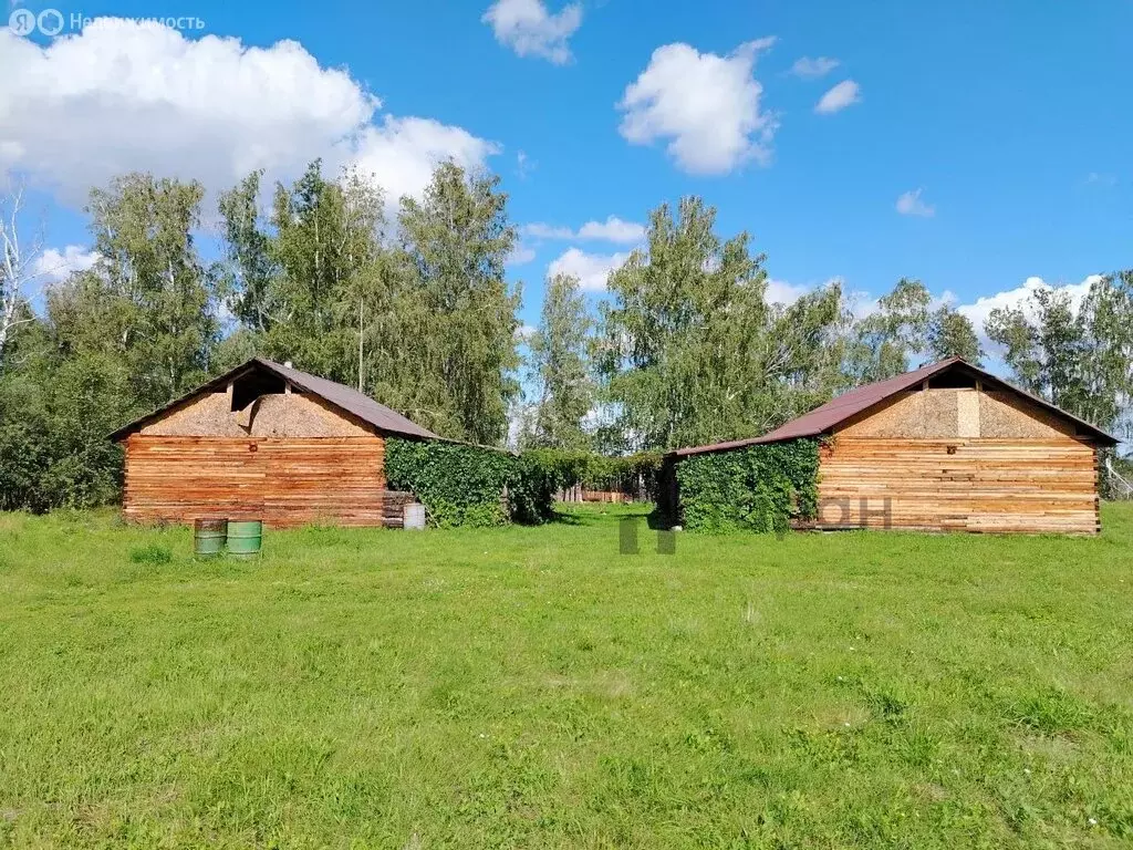 Участок в Челябинская область, Еткульский муниципальный округ, село ... - Фото 1