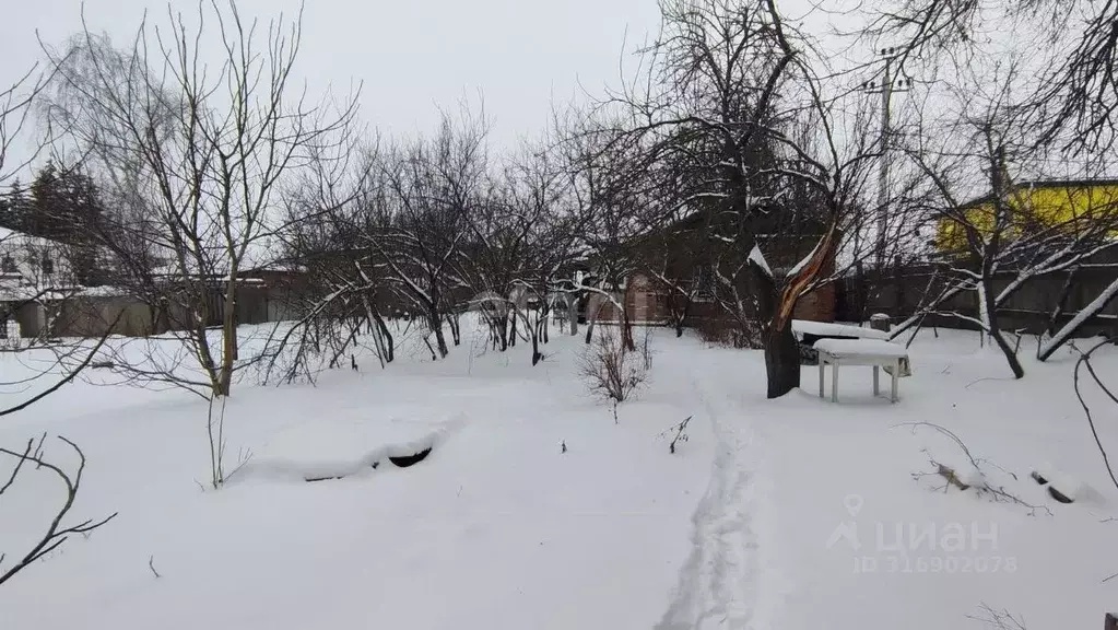 Участок в Белгородская область, Красногвардейский район, Никитовское ... - Фото 1