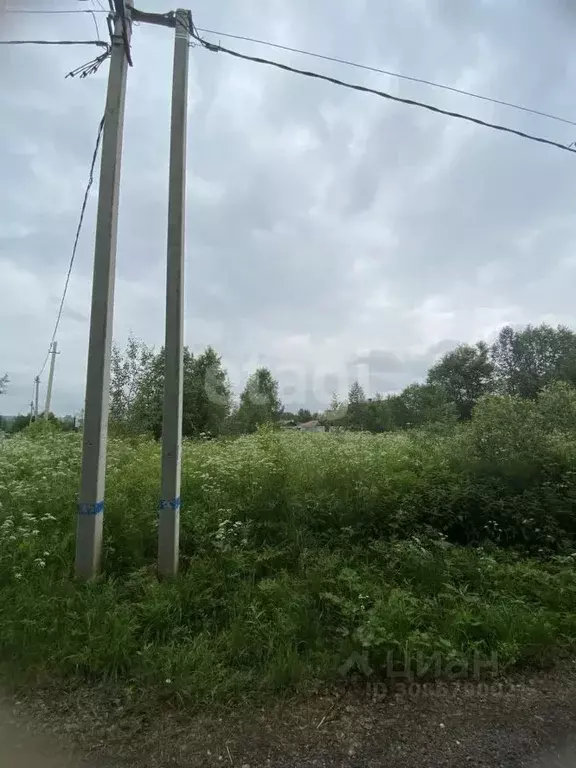 Участок в Московская область, Дмитровский городской округ, ТЭС СНТ 29 ... - Фото 1