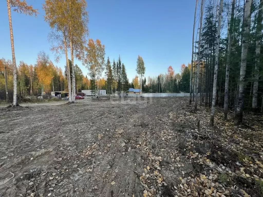 Участок в Ханты-Мансийский АО, Ханты-Мансийск Здоровье СОТ, ул. ... - Фото 2