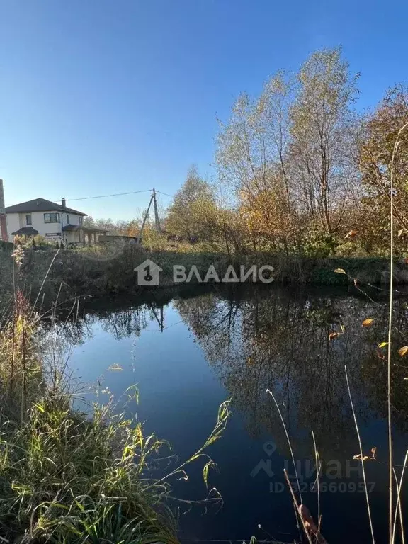 Участок в Калининградская область, Зеленоградский муниципальный округ, ... - Фото 2