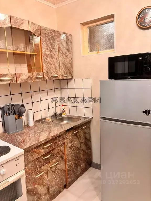 1-к кв. Красноярский край, Красноярск ул. Партизана Железняка, 24А ... - Фото 1