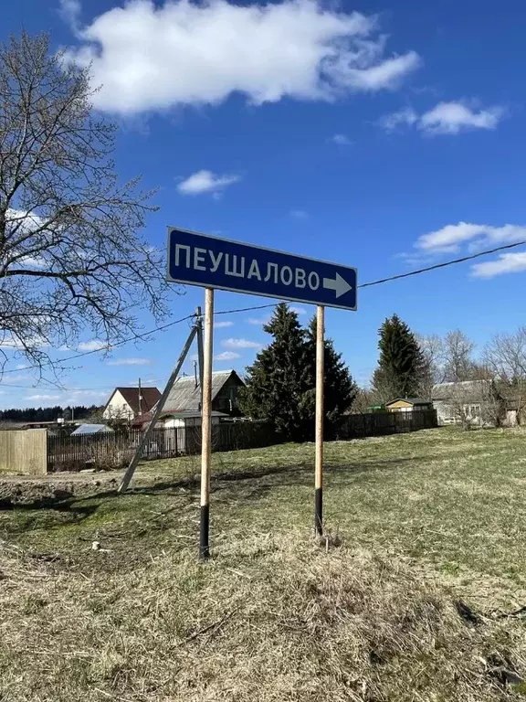 Участок в Ленинградская область, Гатчинский муниципальный округ, д. ... - Фото 1
