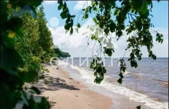 Участок в Ярославская область, Рыбинский муниципальный округ, ... - Фото 0