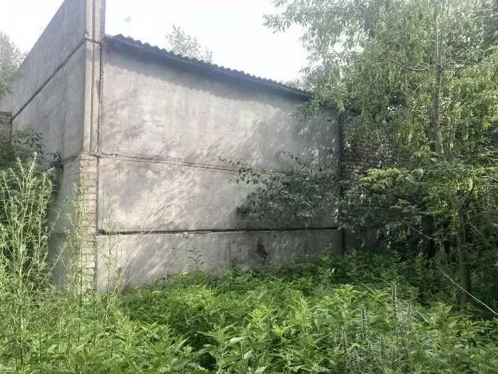 Помещение свободного назначения в Челябинская область, Сосновский ... - Фото 1