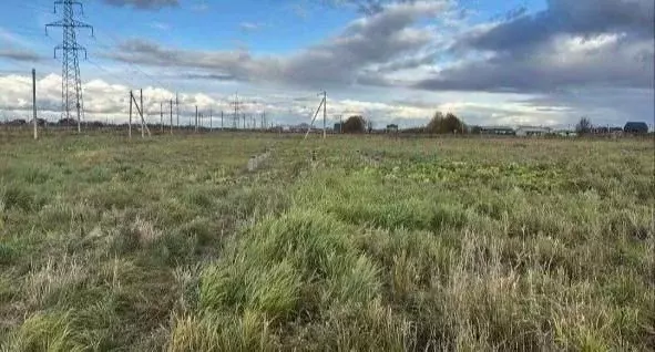 Участок в Ленинградская область, Тосненский район, Федоровское ... - Фото 2