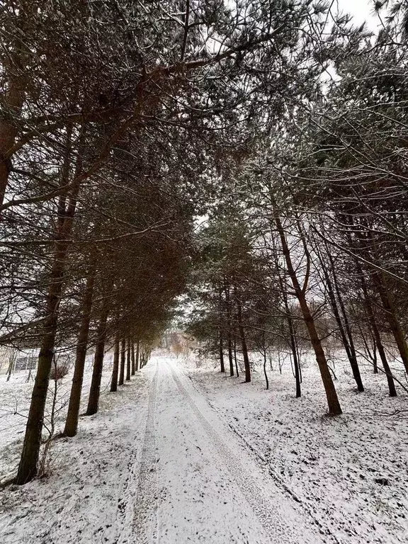 Участок в Московская область, Наро-Фоминский городской округ, д. ... - Фото 1