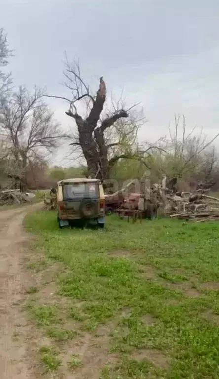 Участок в Астраханская область, Харабалинский район, с. Селитренное  ... - Фото 1