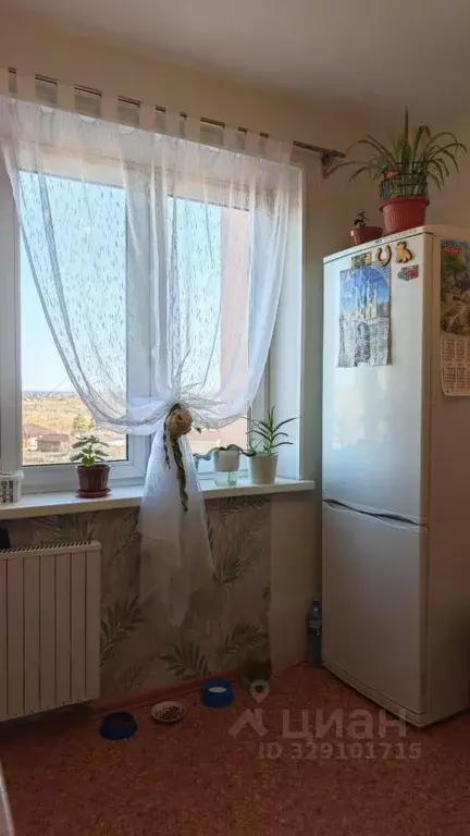 1-к кв. Челябинская область, Копейск ул. Калинина, 11 (40.2 м) - Фото 2