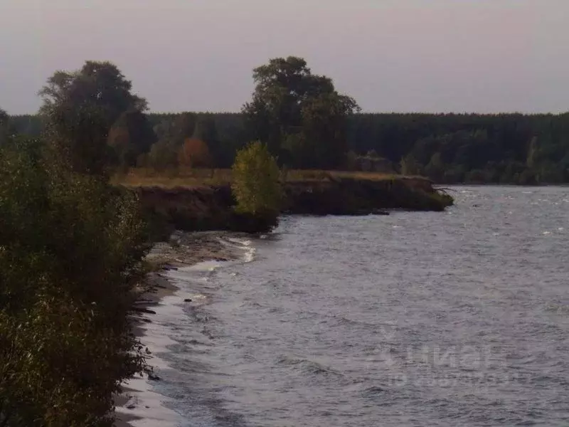 Участок в Нижегородская область, Сокольский муниципальный округ, д. ... - Фото 2