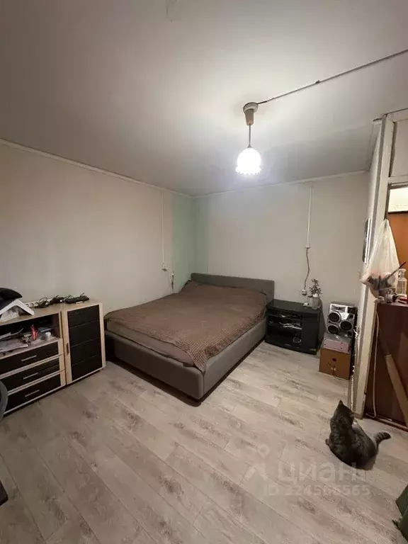 1-к кв. Пермский край, Пермь ул. Богдана Хмельницкого, 11/2 (35.0 м) - Фото 2