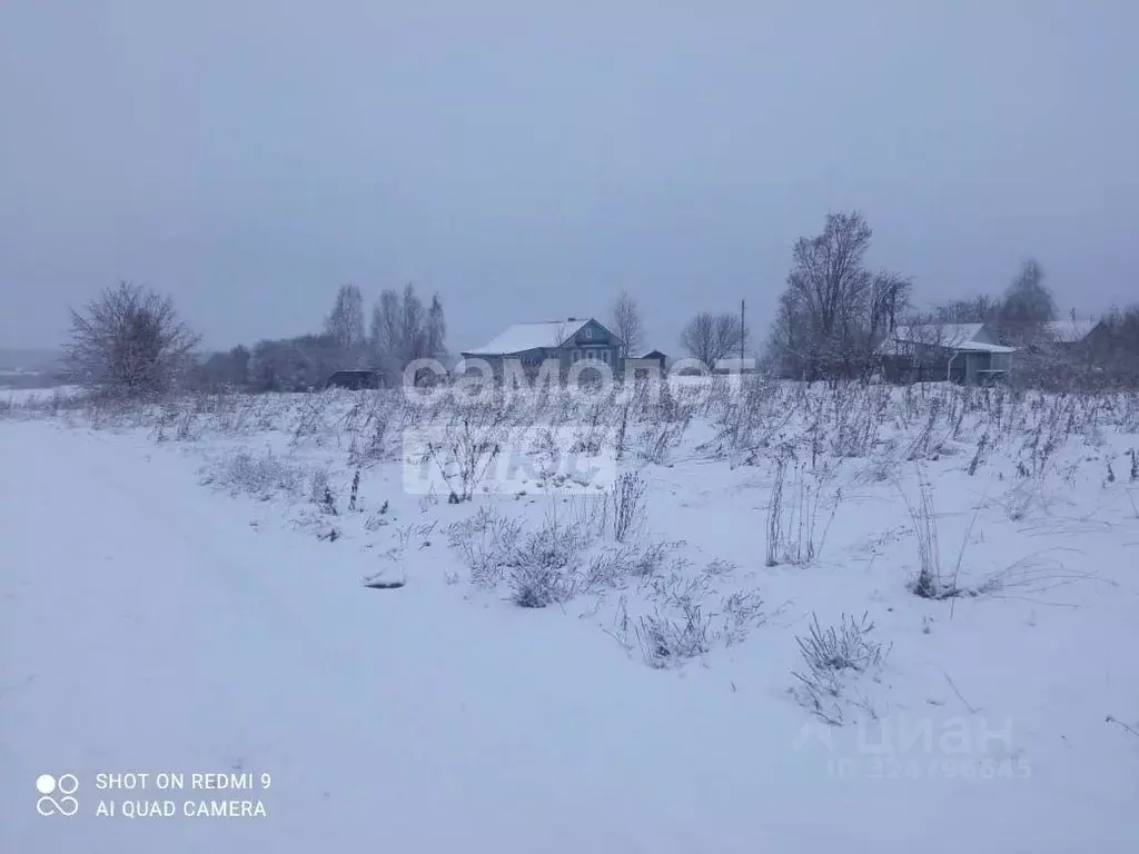 Участок в Вологодская область, д. Кишкино (Подлесный сельсовет) ул. ... - Фото 1