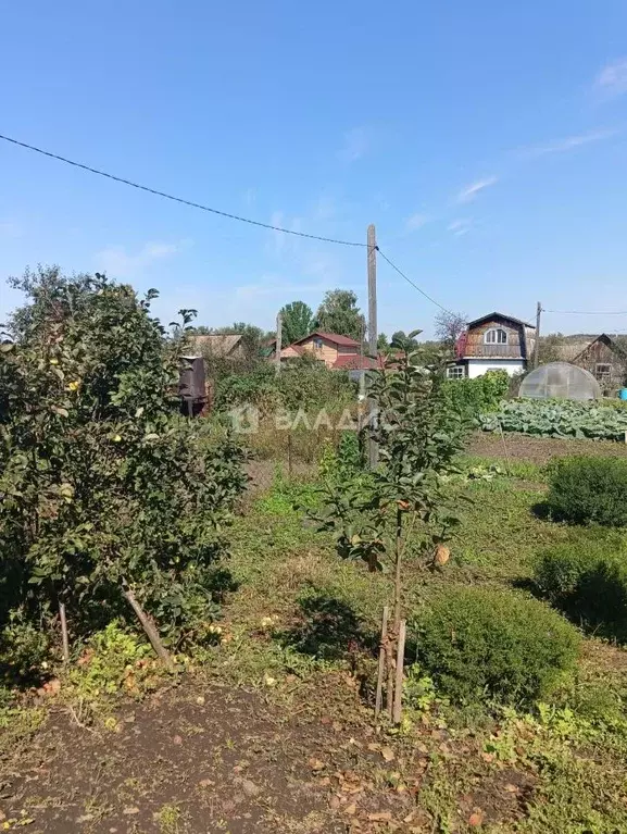 Участок в Алтайский край, Бийск Сплавщик-1 СТ, ул. 3-я (4.5 сот.) - Фото 1