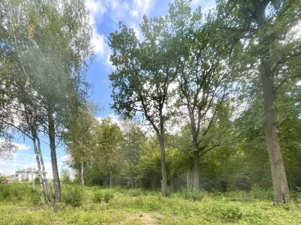 Участок в Москва Синергия кп,  (19.2 сот.) - Фото 1