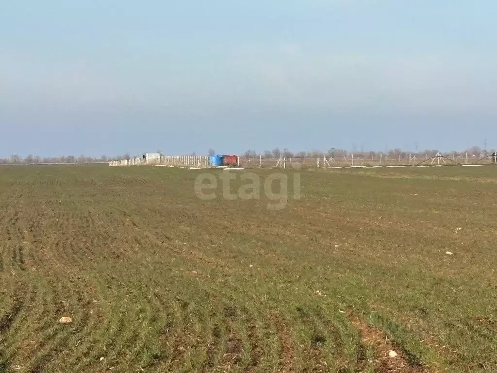 Участок в Крым, Бахчисарайский район, Песчановское с/пос, с. Береговое ... - Фото 1