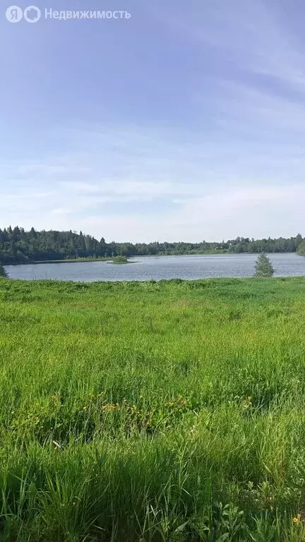 Участок в Новгородская область, Крестецкий муниципальный округ, ... - Фото 2