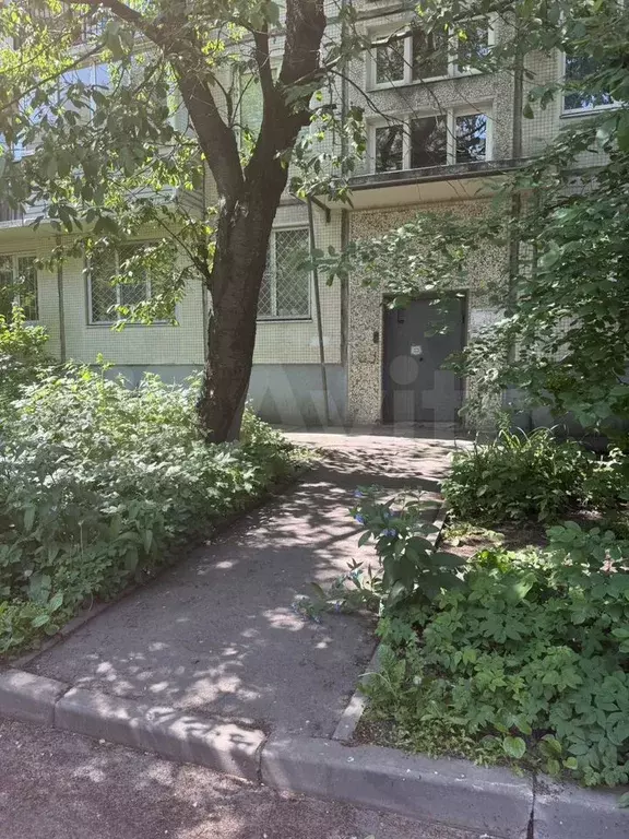 1-к. квартира, 30,9 м, 4/5 эт. - Фото 0