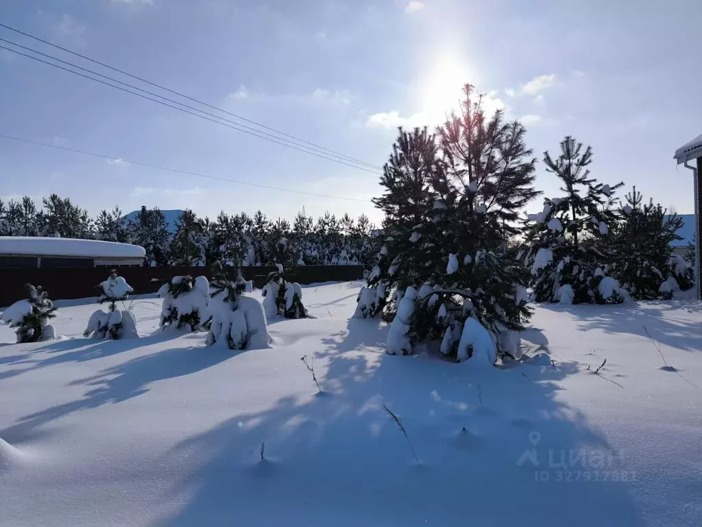 Участок в Московская область, Раменский муниципальный округ, Лесная ... - Фото 2