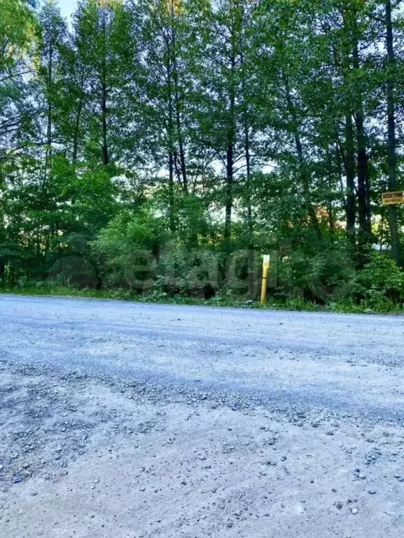 Участок в Башкортостан, Чишминский район, Ибрагимовский сельсовет, ... - Фото 1