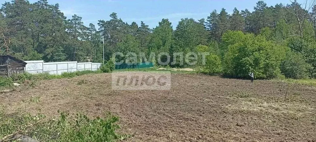 Дом в Амурская область, Благовещенский район, с. Новинка Лесной пер., ... - Фото 2