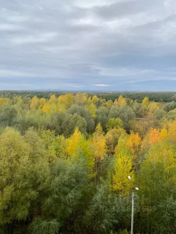 Студия Башкортостан, Уфа ул. Апрельская, 19 (26.0 м) - Фото 2