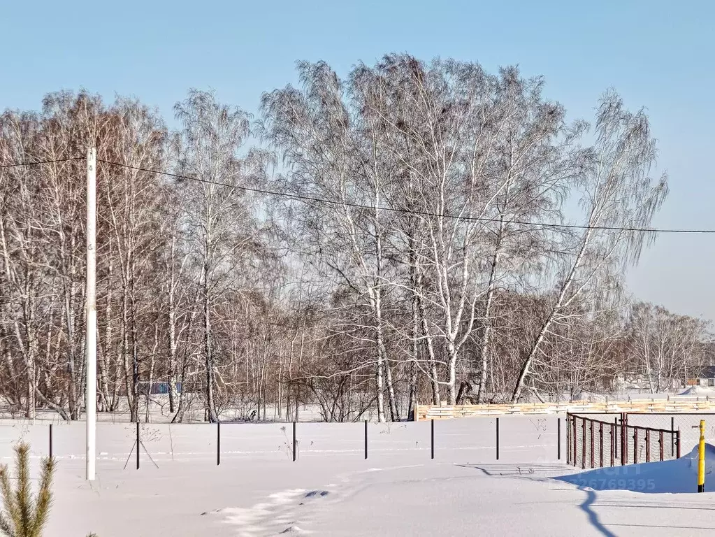 Участок в Новосибирская область, Мошковский район, пос. Октябрьский  ... - Фото 2