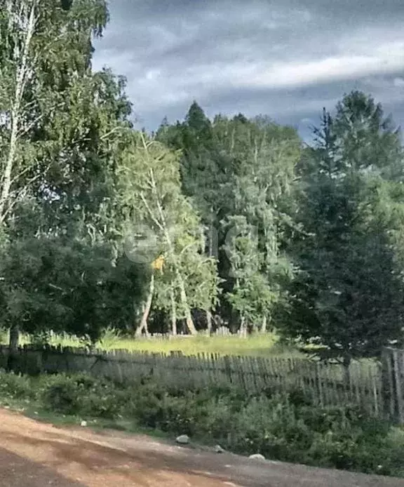 Участок в Алтай, Усть-Коксинский район, пос. Тюгурюк  (17.0 сот.) - Фото 1