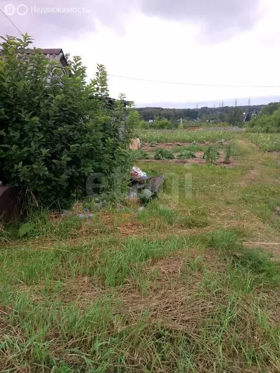 Участок в Искитимский район, Чернореченский сельсовет, ТСН Ложок-1, ... - Фото 0