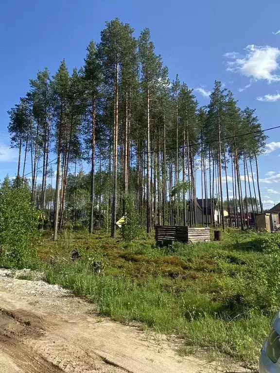 Участок 11 сот. (ИЖС) - Фото 0