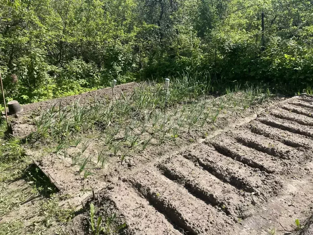 Участок в Нижегородская область, Нижний Новгород 40 лет Победы СНТ, 88 ... - Фото 0