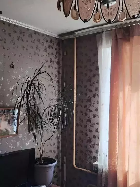 2-к кв. Курская область, Курск просп. Дружбы, 1 (49.6 м) - Фото 0